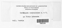 Image Associated With the Occurence